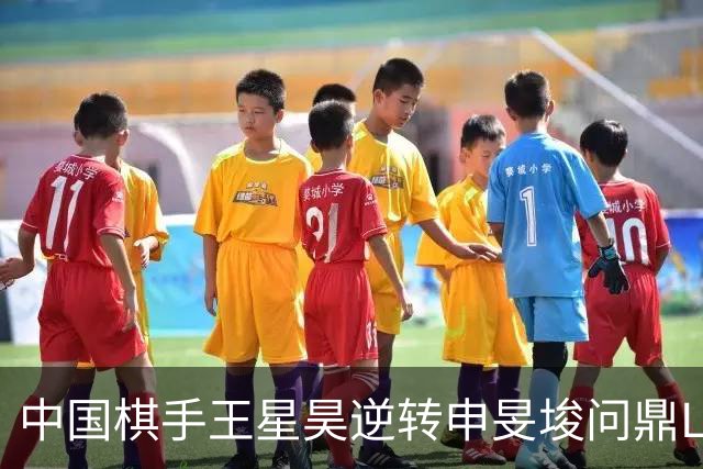 中国棋手王星昊逆转申旻埈问鼎LG杯
