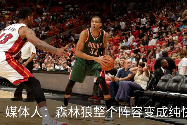 媒体人：森林狼整个阵容变成纯快节奏抢投了 球队也梭哈了