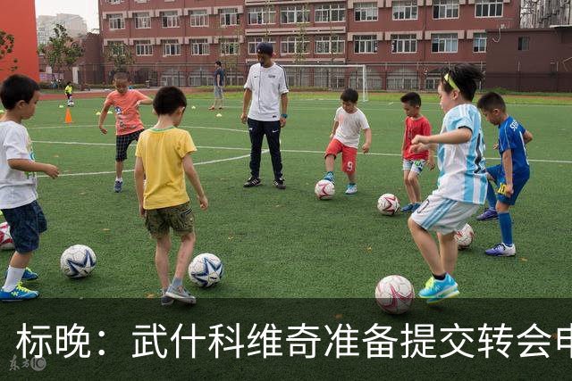 标晚：武什科维奇准备提交转会申请，以强行推动离开热刺