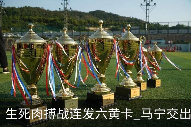 生死肉搏战连发六黄卡 马宁交出世界杯主哨首秀答卷